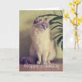 Ragdoll Cat Wenskaart Kaart (Gele Bloem)