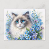 Ragdoll Cat With Forget-Me-Nots Briefkaart (Voorkant)