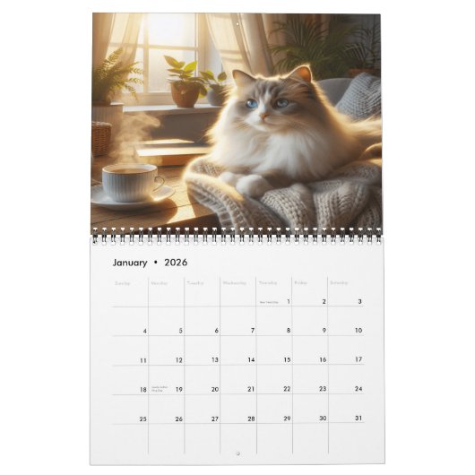 Ragdoll Cats Gezellige Momenten 202x Kalender (Jan 2026)