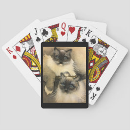 Ragdoll Cats Pokerkaarten