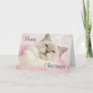 Ragdoll Christmas card Feestdagen Kaart