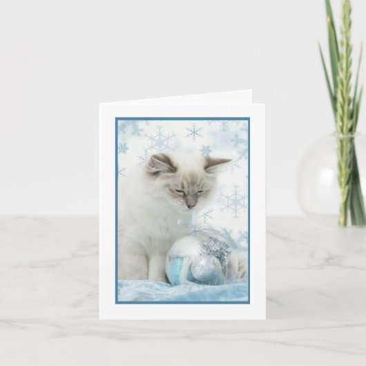 ragdoll de winter notecard feestdagen kaart (Voorkant)