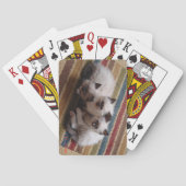 Ragdoll Deck of Cards Pokerkaarten (Achterkant)