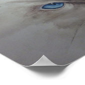 Ragdoll Eyes Poster (Hoek)