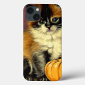  Ragdoll Halloween Cat Case-Mate iPhone Case (Achterkant)