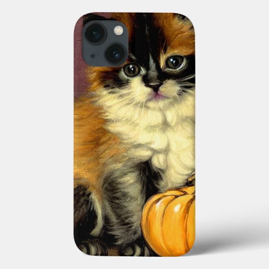 Ragdoll Halloween Cat Case-Mate iPhone Case (Achterkant)