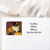  Ragdoll Halloween Cat Etiket (Insitu)