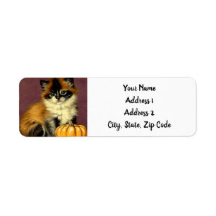 Ragdoll Halloween Cat Etiket