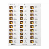  Ragdoll Halloween Cat Etiket (Full Sheet)