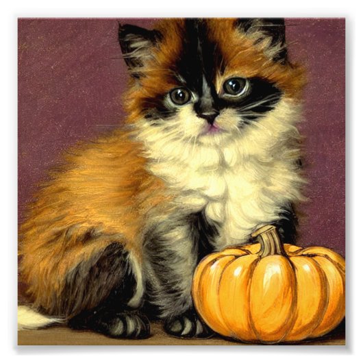 Ragdoll Halloween Cat Foto Afdruk (Voorkant)