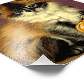 Ragdoll Halloween Cat Foto Afdruk (Hoek)