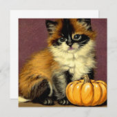 Ragdoll Halloween Cat Kaart (Voorkant / Achterkant)