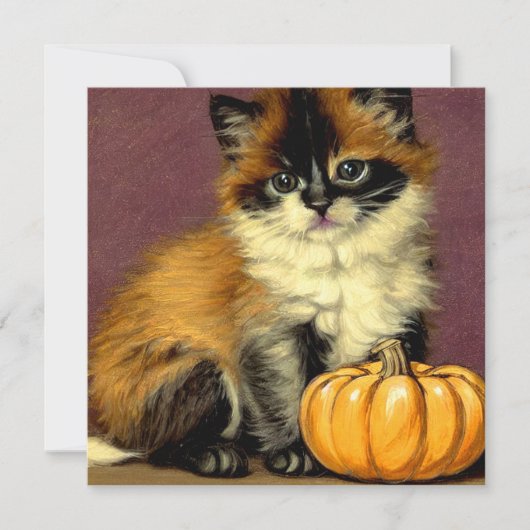 Ragdoll Halloween Cat Kaart (Voorkant)