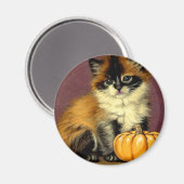  Ragdoll Halloween Cat Magneet (Voorkant / Achterkant)