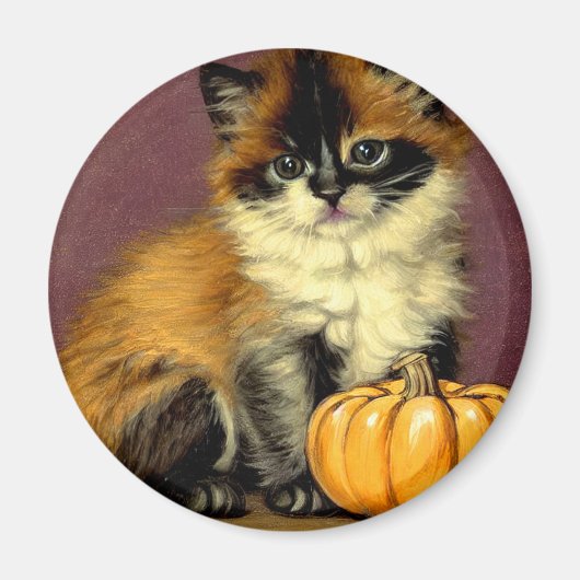  Ragdoll Halloween Cat Magneet (Voorkant)