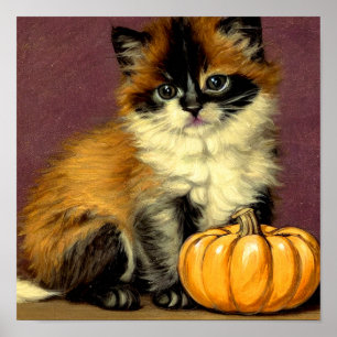 Ragdoll Halloween Cat Poster