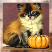  Ragdoll Halloween Cat Raamsticker (Vel 2)