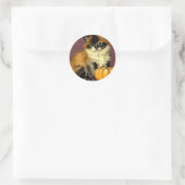 Ragdoll Halloween Cat Ronde Sticker (Tas)