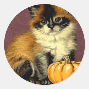 Ragdoll Halloween Cat Ronde Sticker