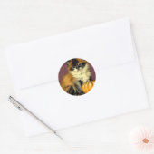 Ragdoll Halloween Cat Ronde Sticker (Envelop)