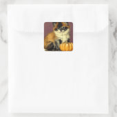  Ragdoll Halloween Cat Vierkante Sticker (Tas)
