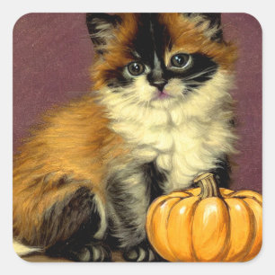 Ragdoll Halloween Cat Vierkante Sticker