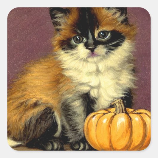  Ragdoll Halloween Cat Vierkante Sticker (Voorkant)