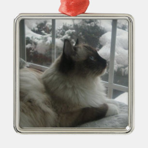 Ragdoll Himalayan Cat Kerstmis Kat Ormense Metalen Ornament