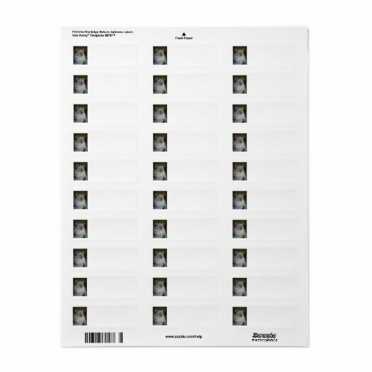 Ragdoll Himalayan Cat Return Address Labels (Full Sheet)