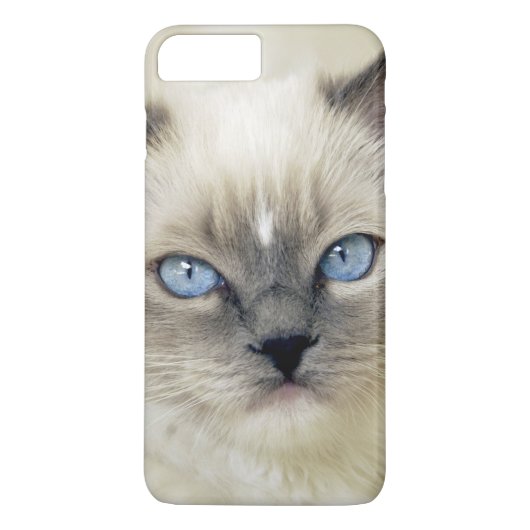 Ragdoll jong katje Case-Mate iPhone case (Achterkant)