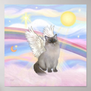 Ragdoll Kat (Blauw Punt) Engel - Wolken Poster