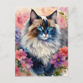 Ragdoll Kat Bloemenportret Kunst Briefkaart (Voorkant)