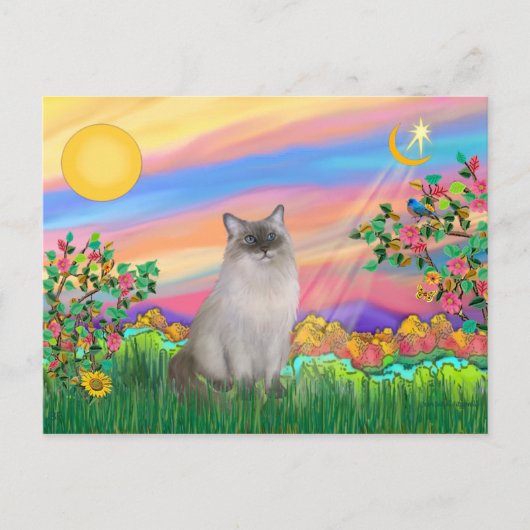 Ragdoll kat (Blue Point) - Dagster Briefkaart (Voorkant)