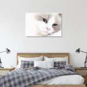 Ragdoll-kat Canvas Afdruk (Insitu (Slaapkamer))