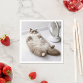 Ragdoll-kat die afkoelt met een ventilator servet (Insitu)