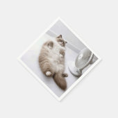 Ragdoll-kat die afkoelt met een ventilator servet (Hoek)