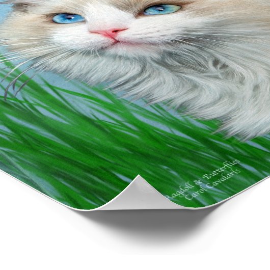 Ragdoll Kat en Butterflies Art Poster/Print Poster (Hoek)