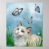 Ragdoll Kat en Butterflies Art Poster/Print Poster (Voorkant)