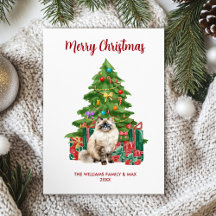 Ragdoll Kat Familie Kerstmis 