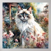 Ragdoll Kat in Engelse Tuin Poster (Voorkant)