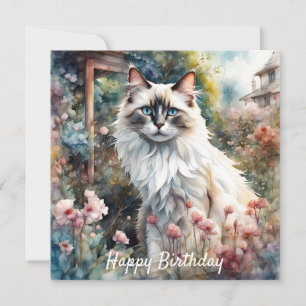 Ragdoll Kat in Engelse Tuin Verjaardag