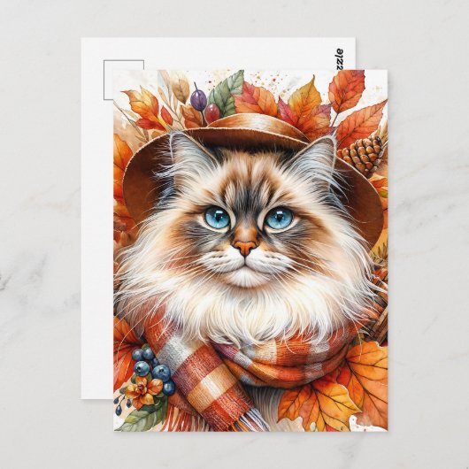 Ragdoll kat in herfstsjaal met herfstbladeren briefkaart (Voorkant / Achterkant)