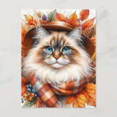 Ragdoll kat in herfstsjaal met herfstbladeren briefkaart (Voorkant)