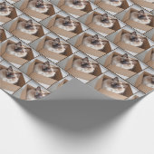 Ragdoll kat in kartonnen doos cadeaupapier (Hoek)