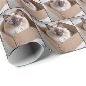 Ragdoll kat in kartonnen doos cadeaupapier (Rol Hoek)