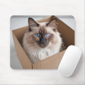 Ragdoll kat in kartonnen doos muismat (Met muis)