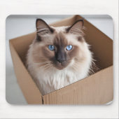 Ragdoll kat in kartonnen doos muismat (Voorkant)