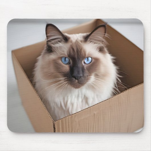 Ragdoll kat in kartonnen doos muismat (Voorkant)