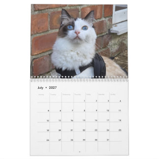 Ragdoll kat kalender