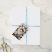 Ragdoll kat met blauwe hortensia bloemen cadeaulabel (Met Touw)